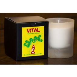 Candela sticla ceara soia 40h Vital 130g - D`ECO