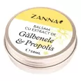 Balsam extract galbenele propolis 50ml - ZANNA