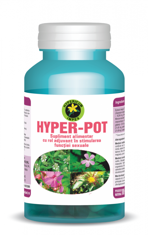 Hyper pot 60cps - HYPERICUM PLANT