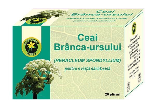 Ceai branca ursului 20dz - HYPERICUM PLANT