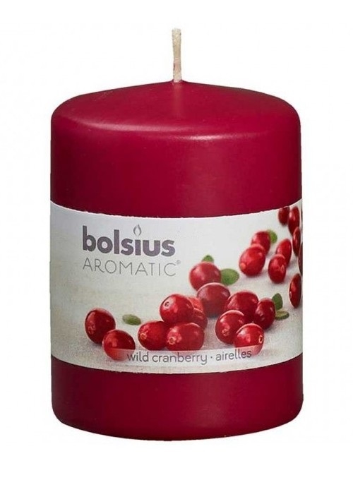 Lumanare parfumata stalp 22h merisor salbatic 160g - BOLSIUS