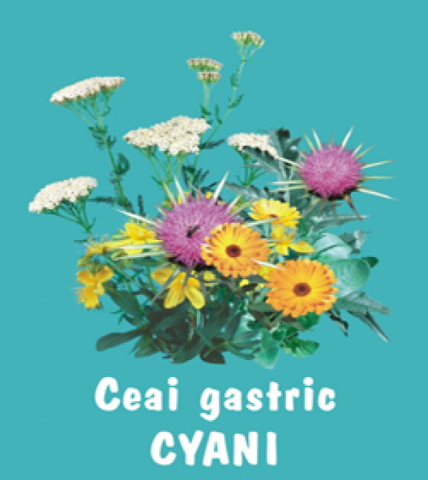 Ceai gastric 70g - CYANI