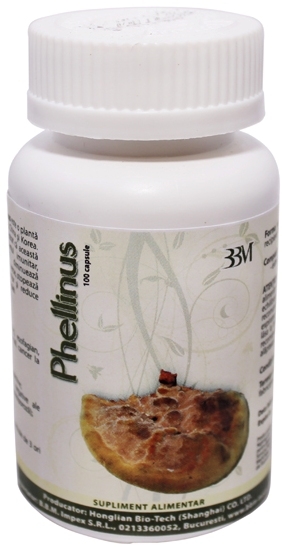 Phellinus 100cps - HONGLIAN BIOTECH