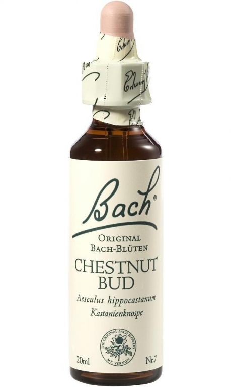 Picaturi florale chestnut bud nr7 20ml - BACH REMEDIES