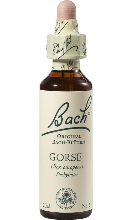 Picaturi florale gorse nr13 20ml - BACH REMEDIES