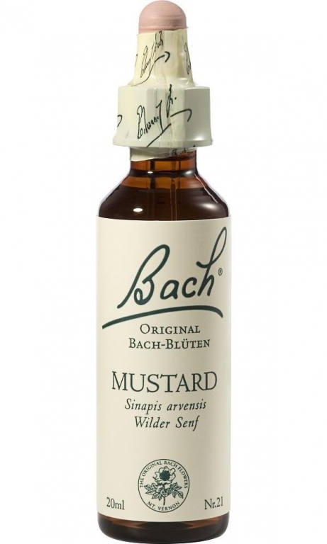 Picaturi florale mustard nr21 20ml - BACH REMEDIES