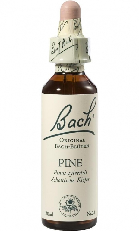 Picaturi florale pine nr24 20ml - BACH REMEDIES