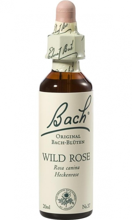 Picaturi florale wild rose nr37 20ml - BACH REMEDIES