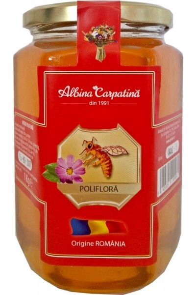 Miere poliflora 1kg - ALBINA CARPATINA