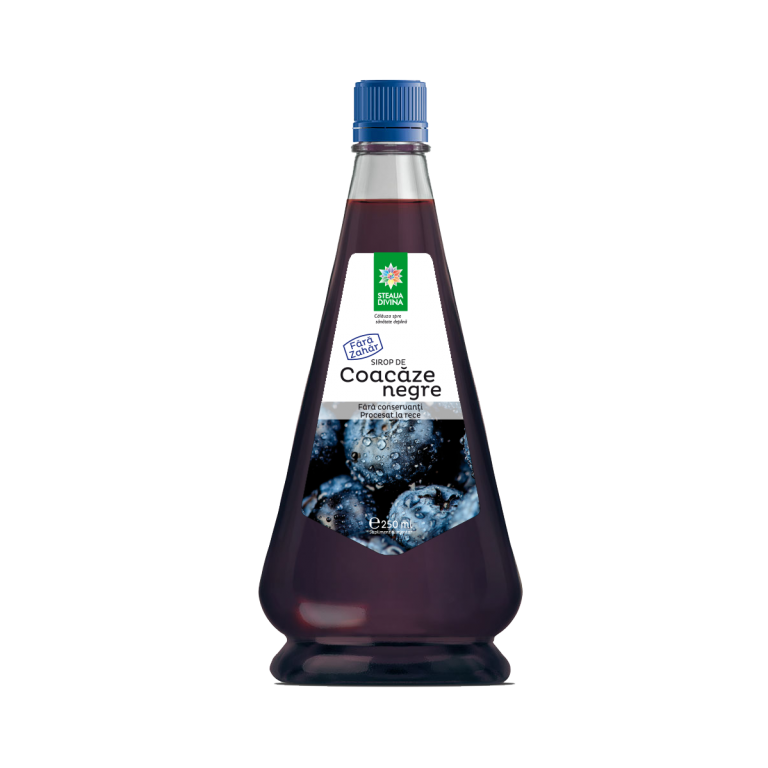 Sirop coacaze negre stevie 250ml - SANTO RAPHAEL