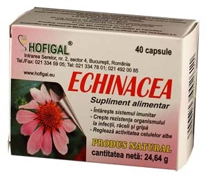 Echinaceea 40cps - HOFIGAL