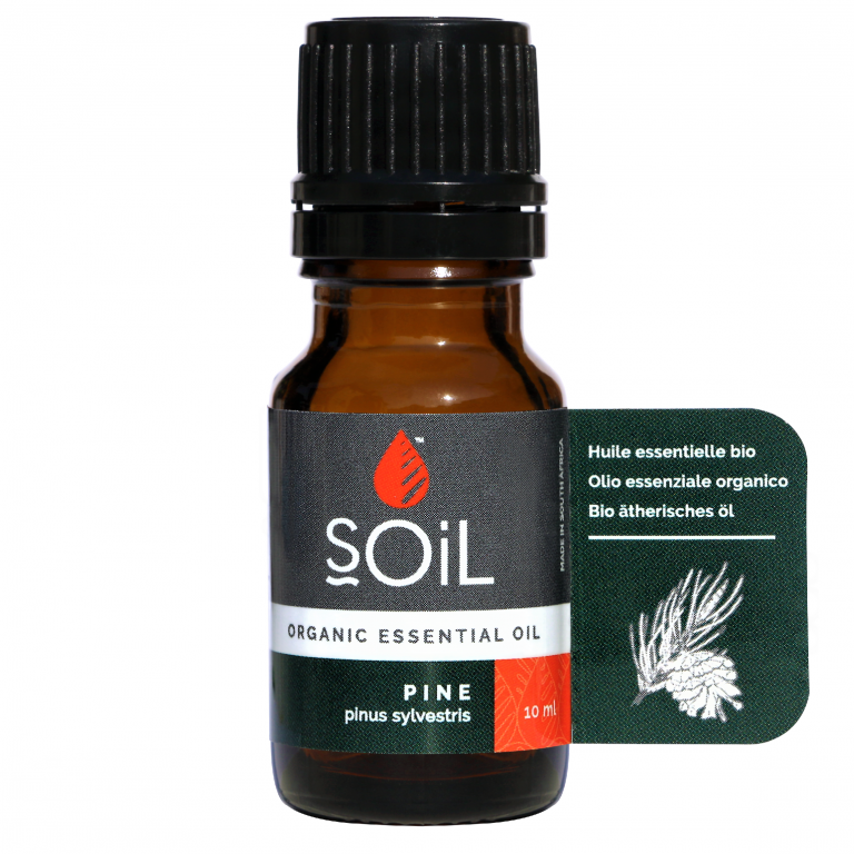 Ulei esential pin organic 10ml - SOiL