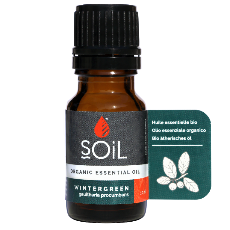 Ulei esential wintergreen organic 10ml - SOiL