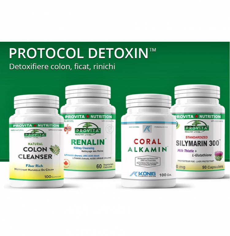 Protocol Detoxin 30zile [detoxifiere colon, ficat, rinichi] 4b - PROVITA