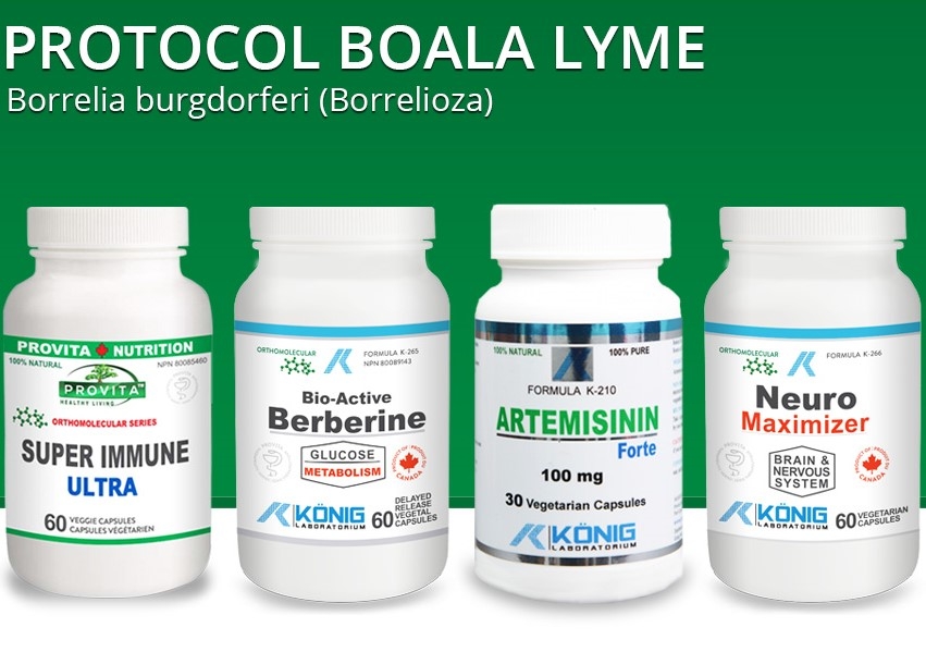 Protocol Boala Lyme [pt borrelioza] 6b - PROVITA