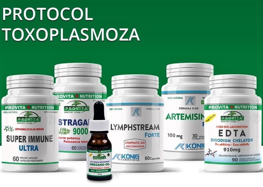 Protocol Toxoplasmoza [pt infectia cu protozoarul toxoplasma gondii] 10b - PROVITA