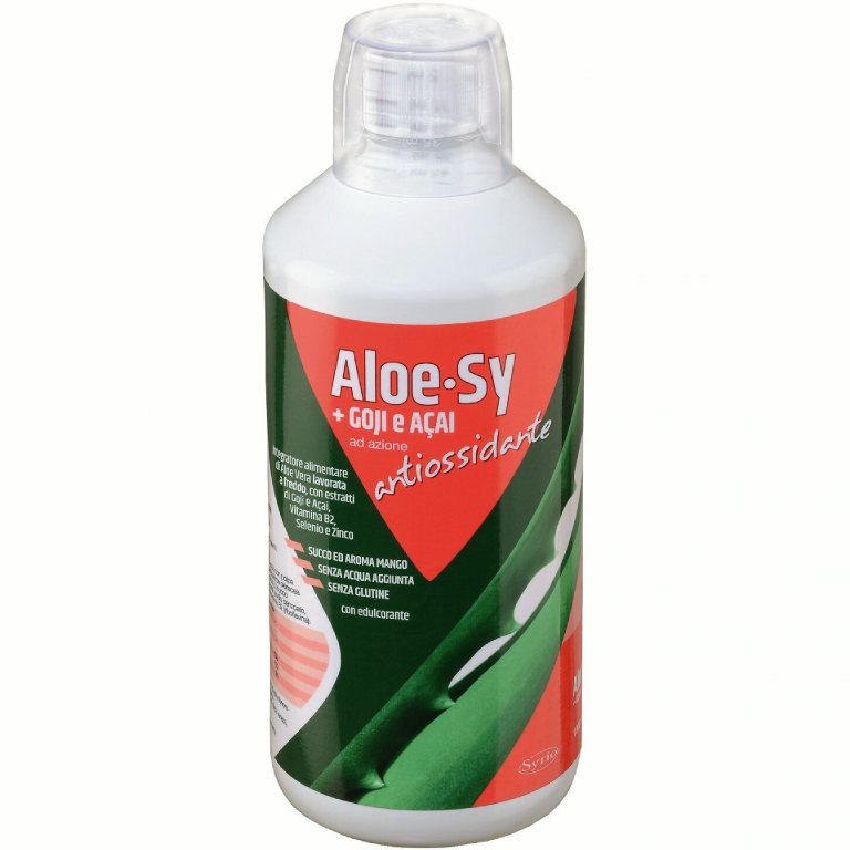 Suc gel aloe vera goji acai Sy 1L - SYRIO