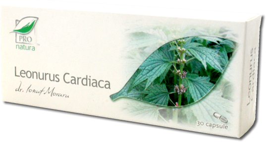 Leonurus cardiaca 30cp - MEDICA