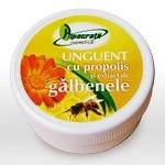 Unguent propolis galbenele 20g - HIPOCRATE