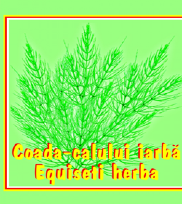 Ceai coada calului 50g - CYANI