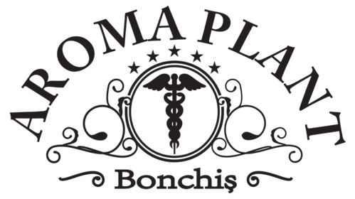 Aroma Plant Bonchis
