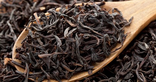 Ceai negru Camellia sinensis